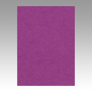 リンテック　ＧＯ４ＮＣＲ－２４１　ニューカラー４切１００枚　むらさき