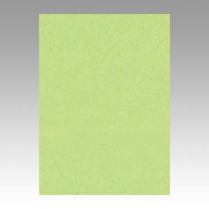 リンテック　ＧＯ４ＮＣＲ－２４３　ニューカラー４切１００枚　わかくさ