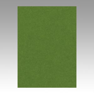 リンテック　ＧＯ４ＮＣＲ－３１６　ニューカラー４切１００枚　オリーブ