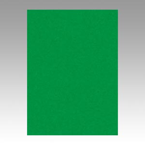 リンテック　ＧＯ４ＮＣＲ－３２１　ニューカラー４切１００枚　みどり