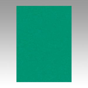 リンテック　ＧＯ４ＮＣＲ－３２２　ニューカラー４切１００枚　エメラルド