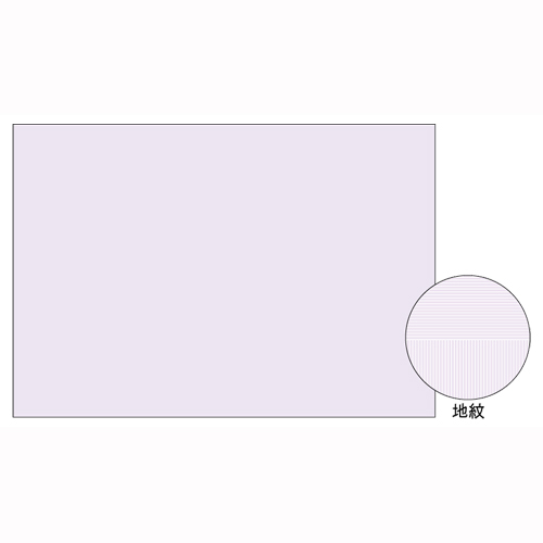 ヒサゴ　ＢＰ２１１１Ｚ　Ａ３　コピー判別用紙　大入り