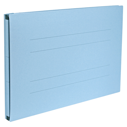 セキセイ　ＡＥ－５１ＦＰ－１０　のびーるファイルエスヤードＡ４Ｅ　ブルー