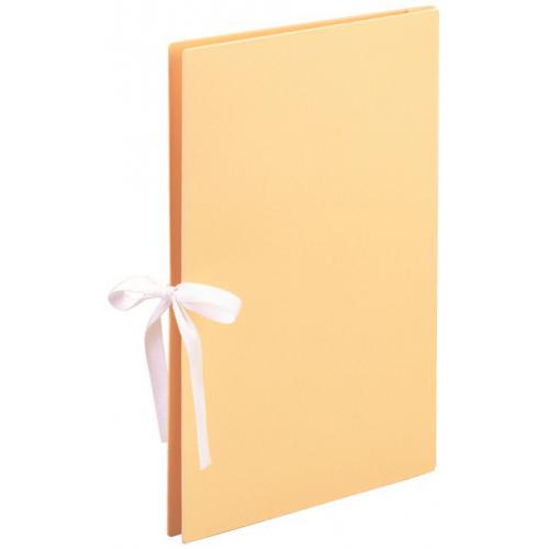 美濃商会　１３６３　カラーエイナーファイルＡ４Ｒ　ＥＸ