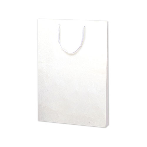 ササガワ　５０－６７９９　手提げ袋　額縁用　１０枚