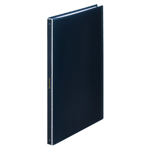 キングジム　７２８１ＴＷ－ＮＶ　クリア－ファイル　ヒクタス（透明）　ネイ