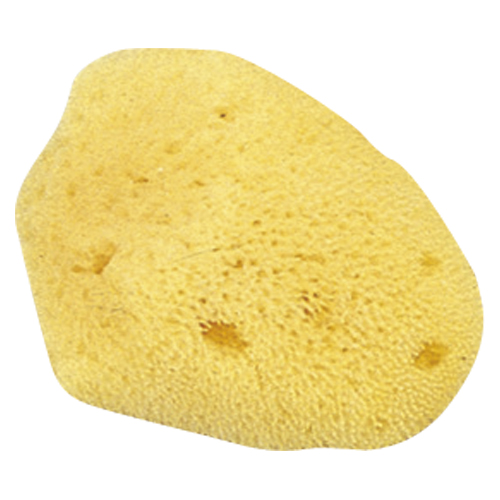 クラウン　ＣＲ－ＳＧ１３０－ＡＭ　天然海綿（小）