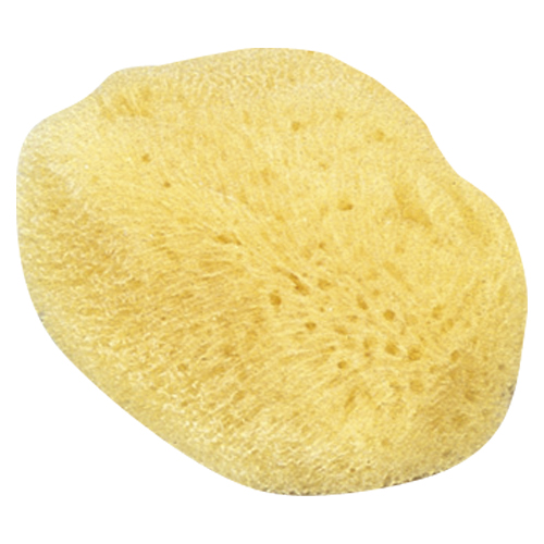 クラウン　ＣＲ－ＳＧ２５０－ＡＭ　天然海綿（大）