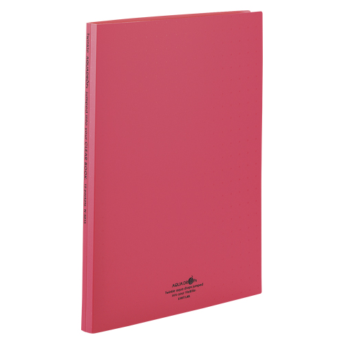 リヒトラブ　Ｎ－５０１５－３　クリヤーブツク　Ａ４　１５Ｐ　赤