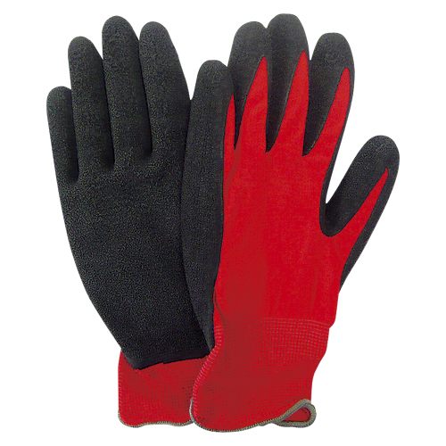 ミタニＣＰ　２２０２０８　パワーレッド　１０双入り　Ｍ