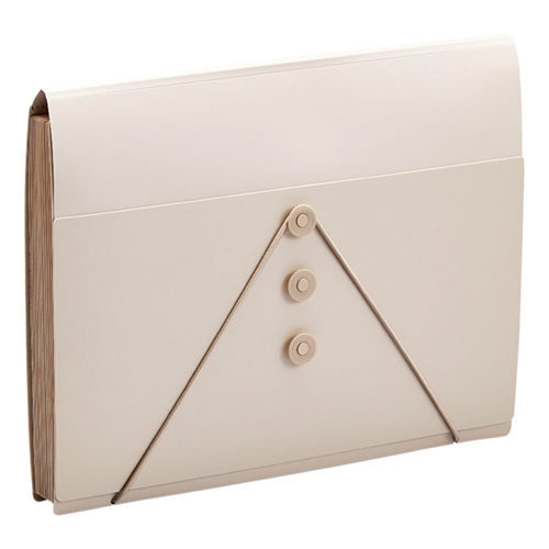 キングジム　２２９０－ＢＥ　サクッと整理！ドキュメントファイルフタ付