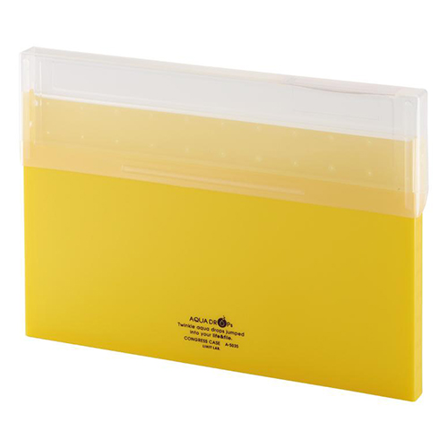 リヒトラブ　Ａ－５０３５－５　コングレスケース　Ａ４　黄