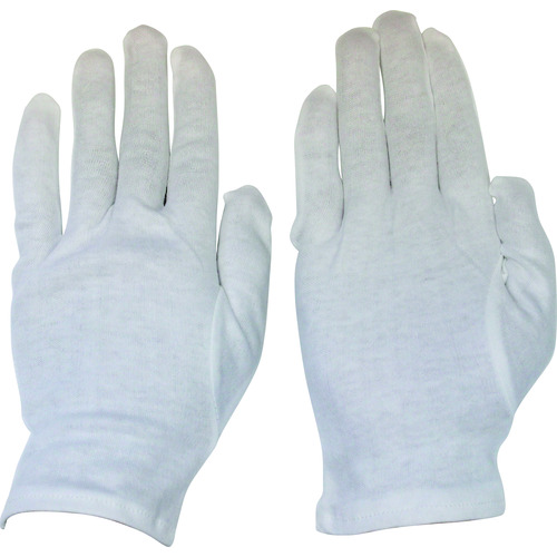 オタフク　ミクローブ４１００　１０双組