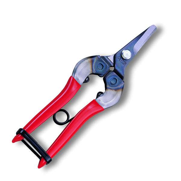 アルス　Ｎｏ３１０　摘果鋏（箱入）