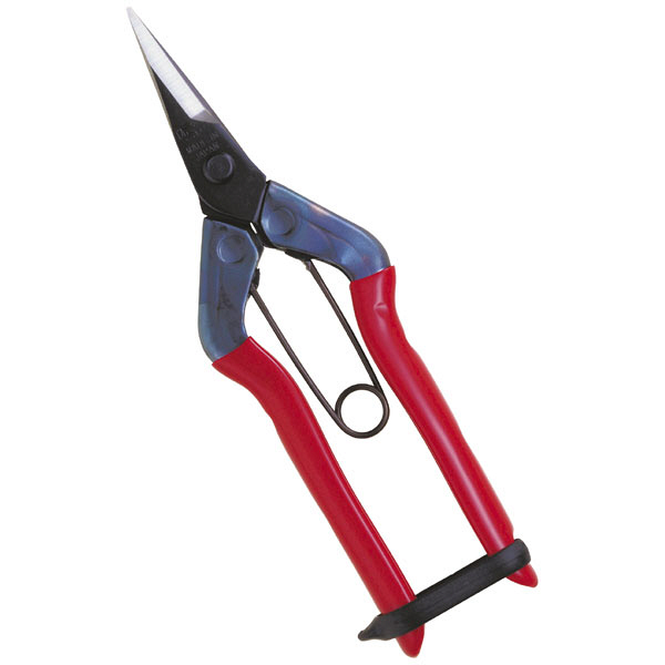 近正　摘果鋏　標準包装　Ｔ－５００