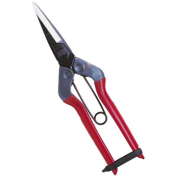 近正　菜園鋏　標準　Ｔ－６００