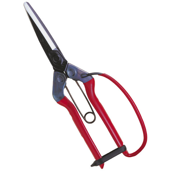 近正　青果鋏ガード付　標準包装　Ｔ－７００Ｇ