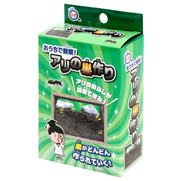 こどもラボ　おうちで観察！アリの巣作り