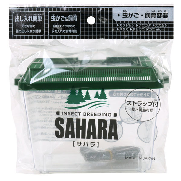 むしかごサハラ　Ｒ５