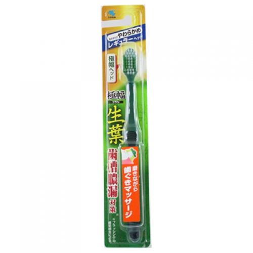 小林製薬 生葉極幅ブラシ　レギュラー　ふつう/やわらかめ　１本