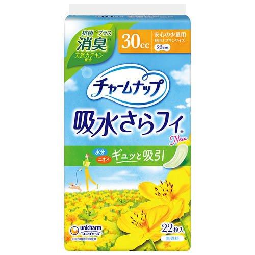 チャームナップ安心の少量用消臭タイプ２２枚