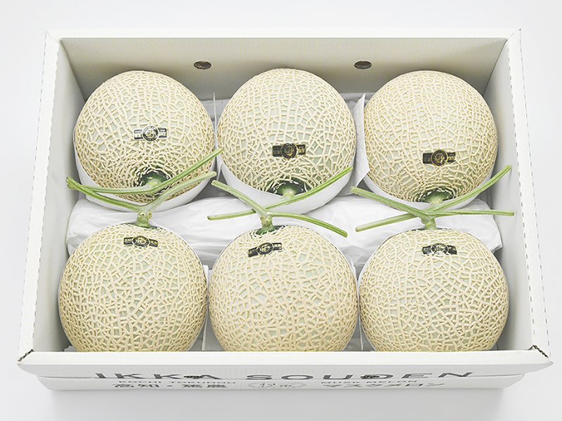 【特選】6玉入り