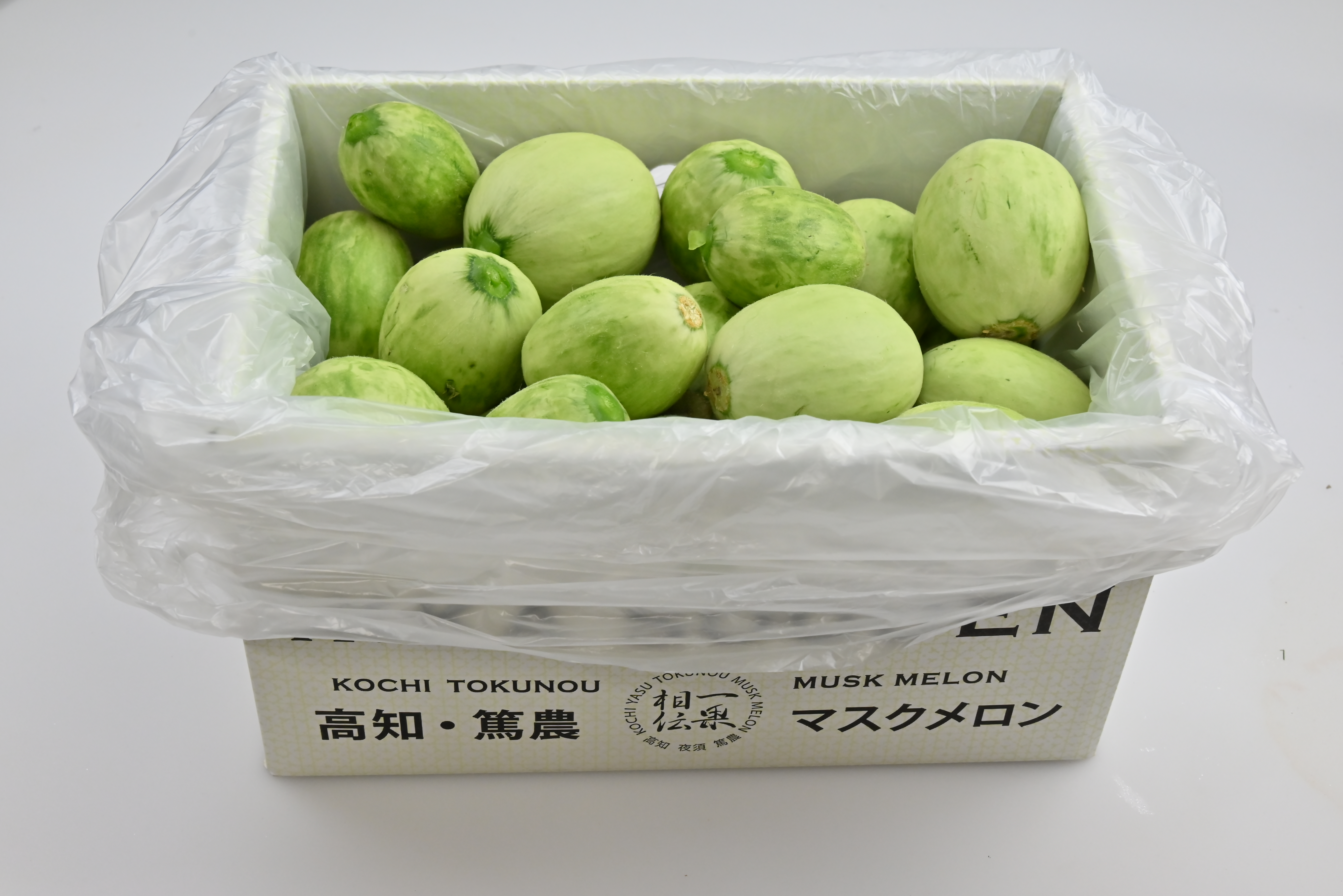 【つるかめろんの玉子】摘果メロン／4.5kg以上