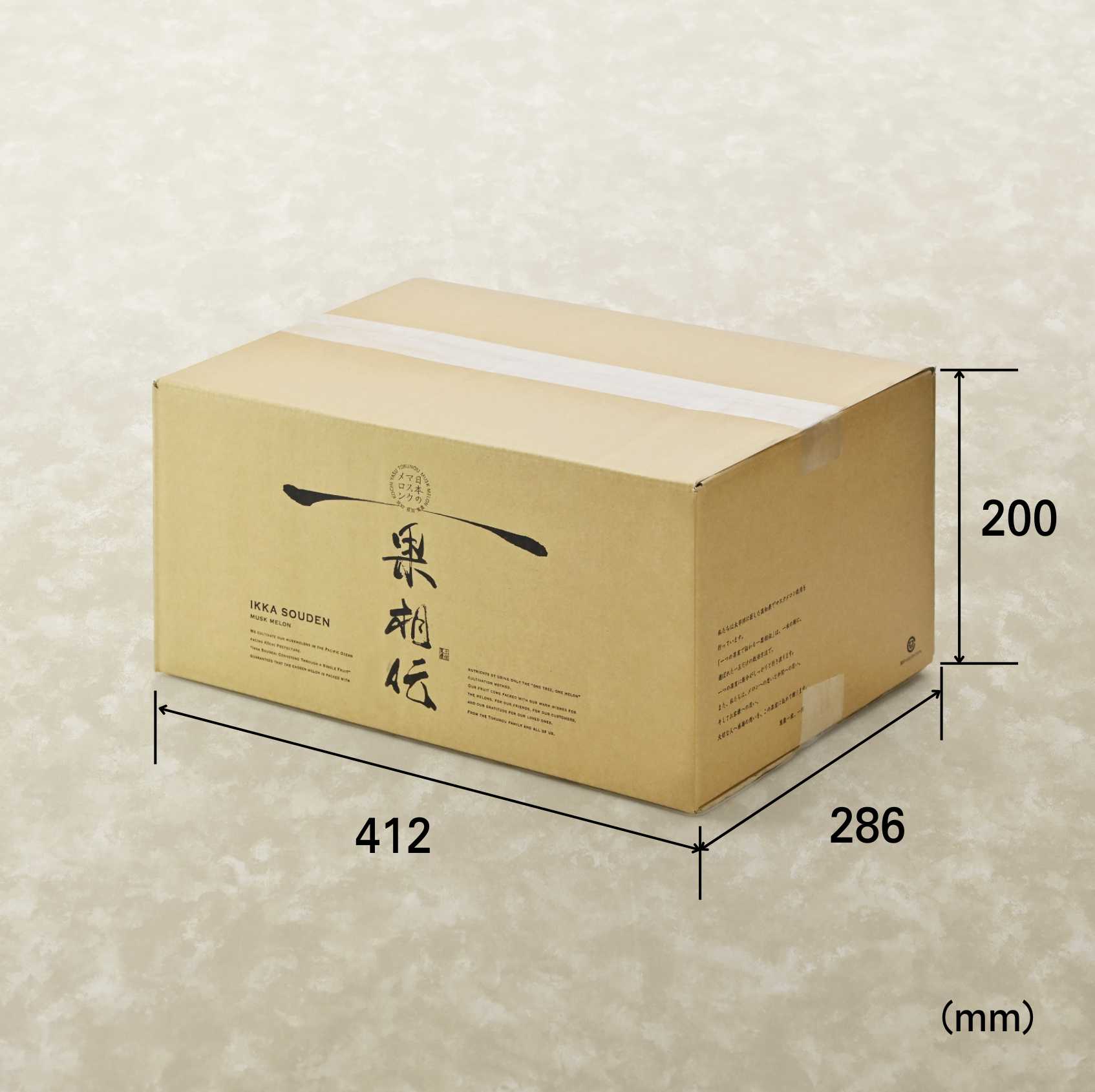 外箱段ボール2箱入り