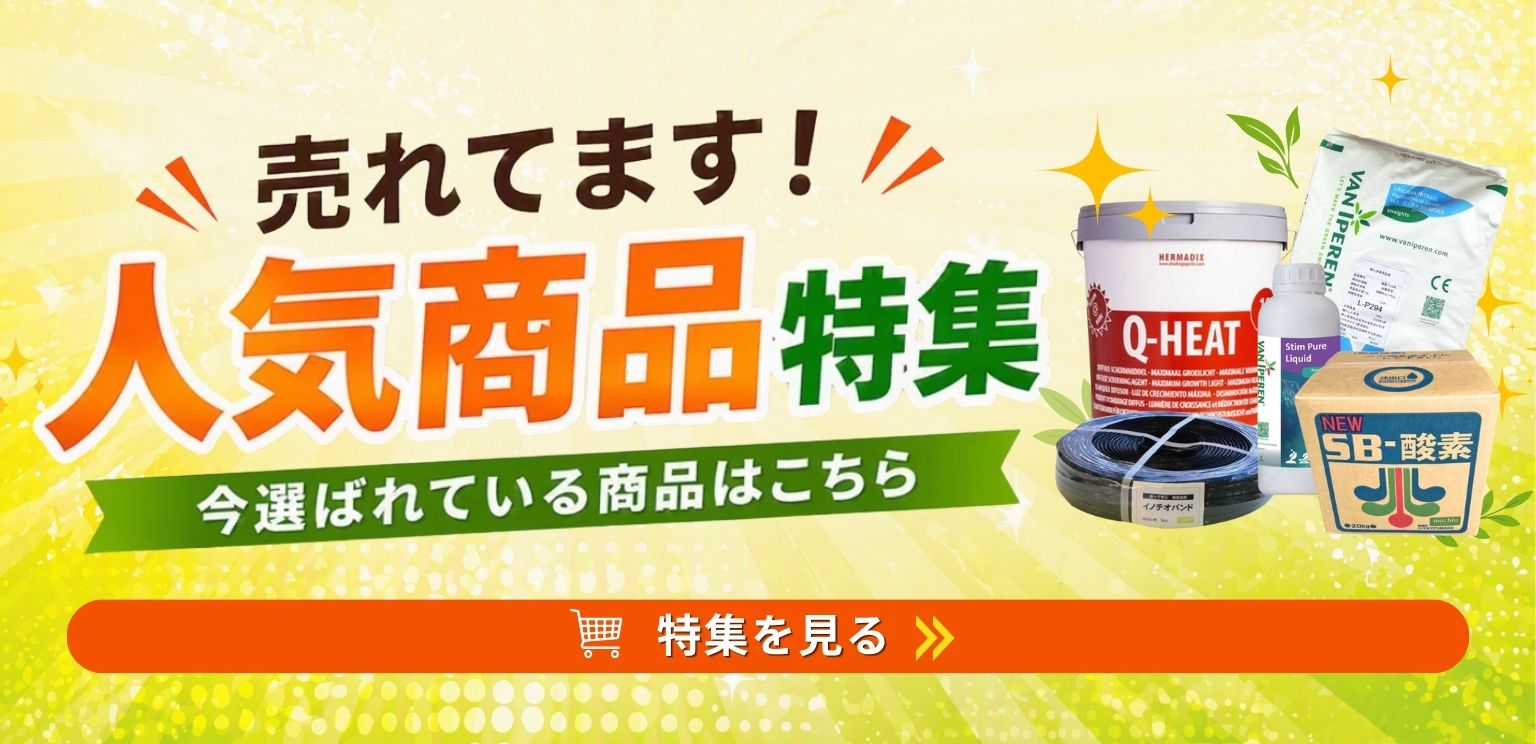 \ 人気商品特集 /