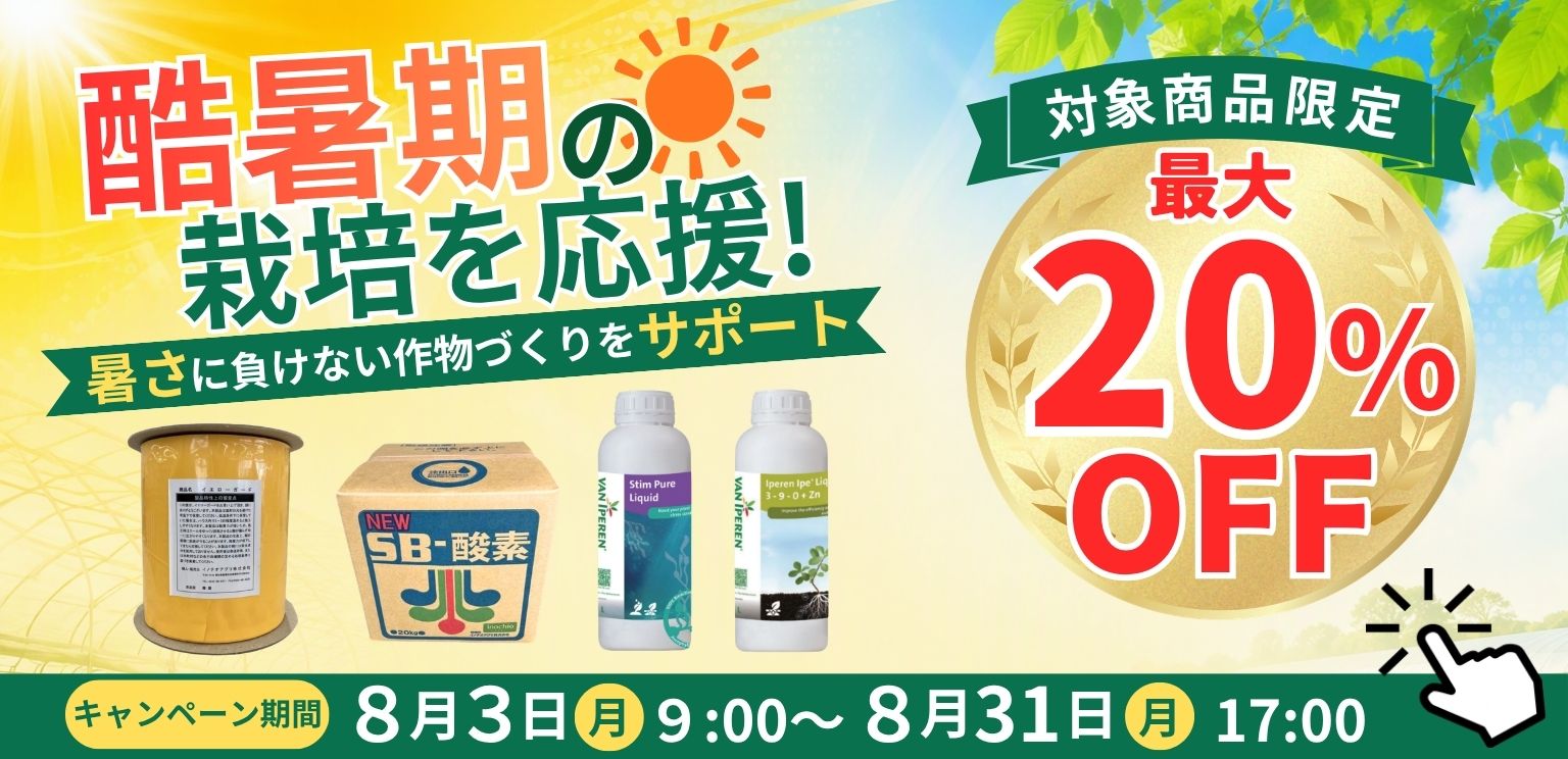 \ 8月のキャンペーン /