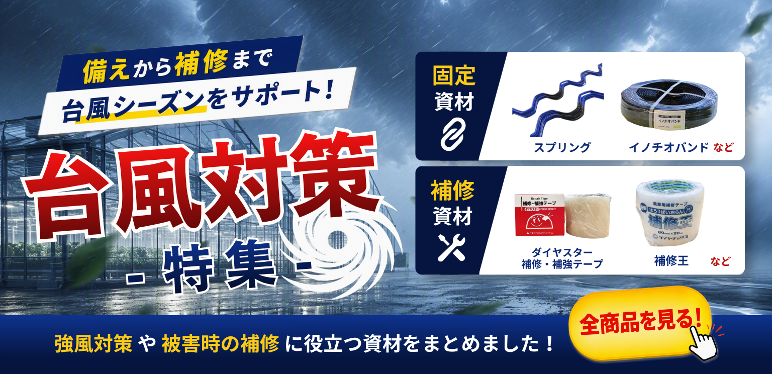 \ 台風対策特集 /