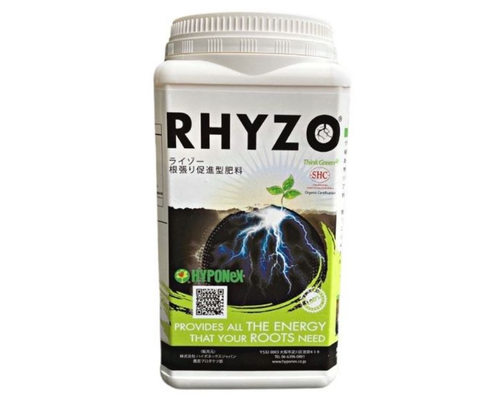 ライゾー