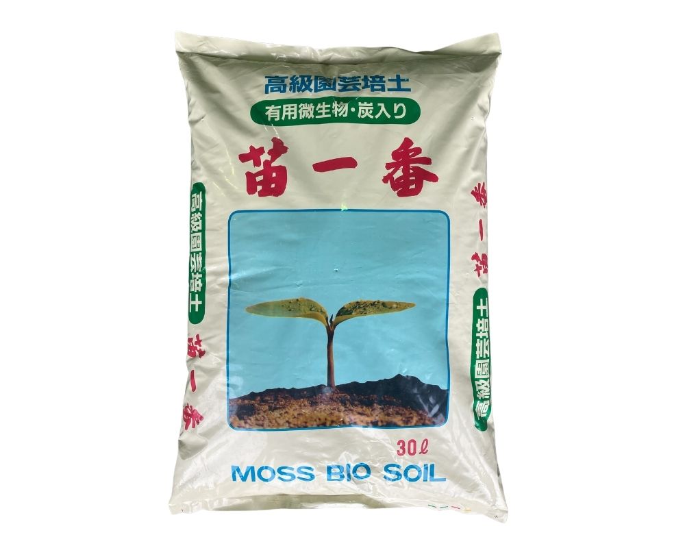 苗一番