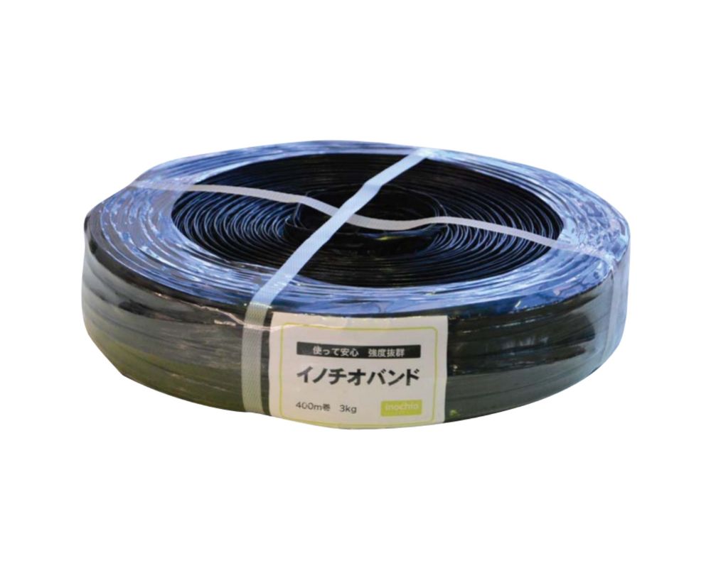 マイカ線　イノチオバンド