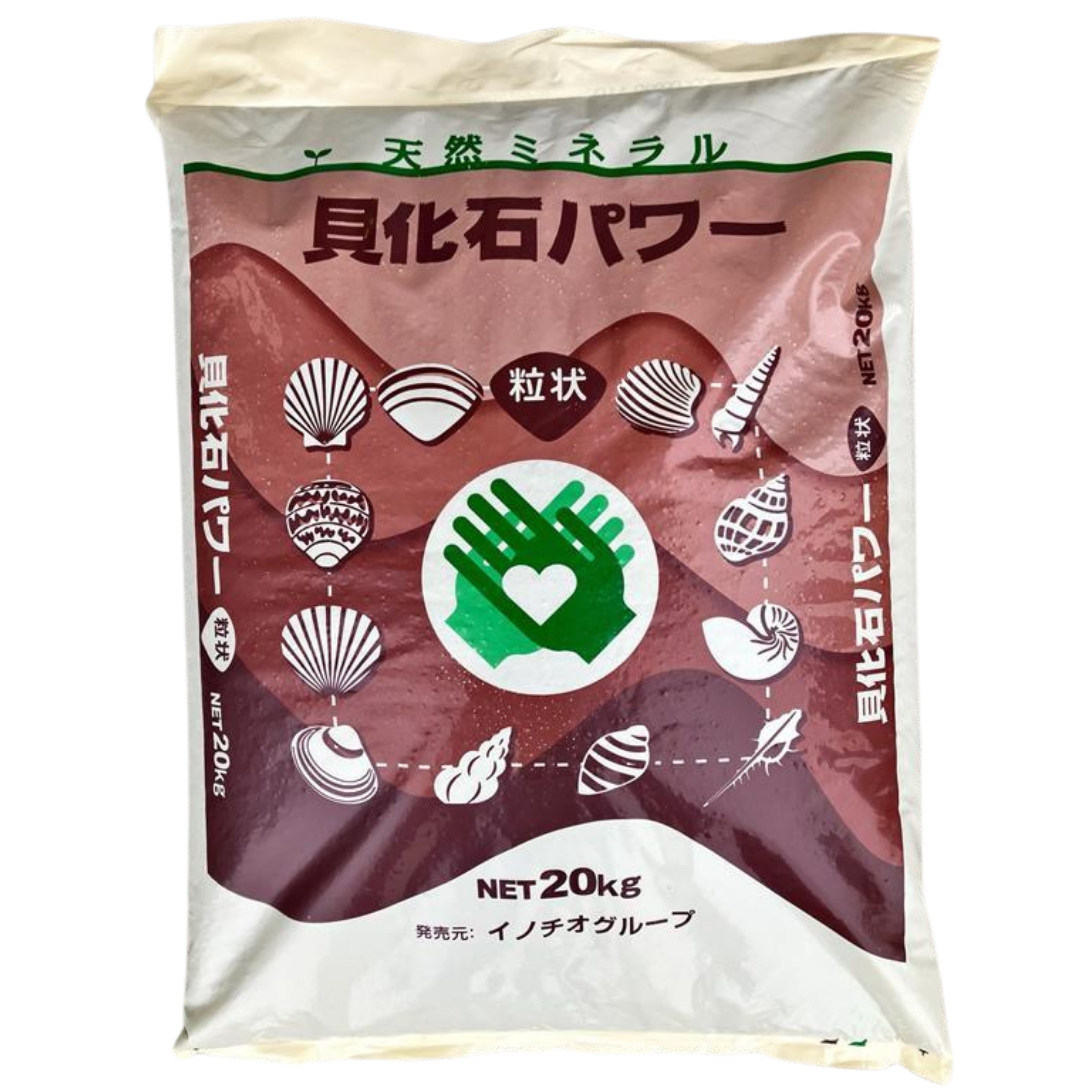 貝化石パワー
