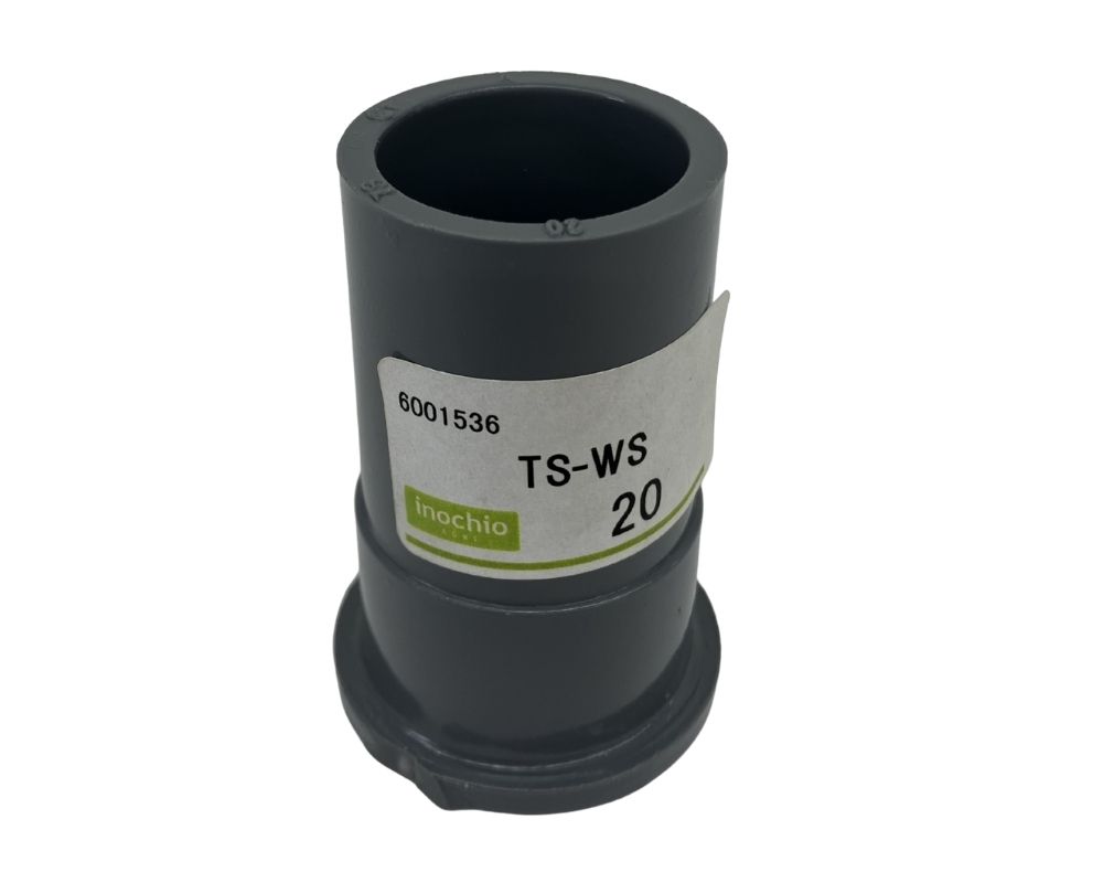 TS-WS