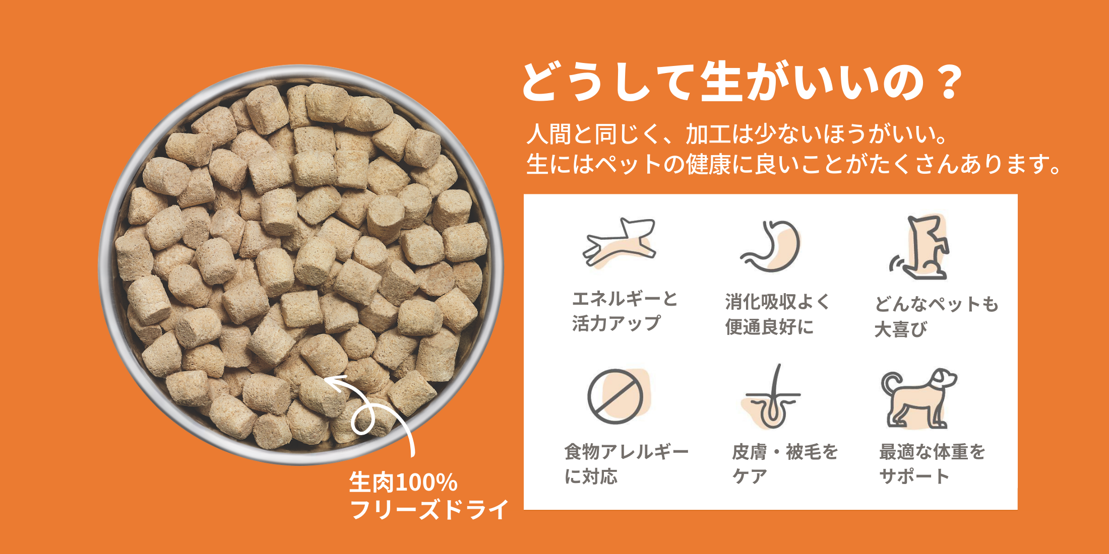 キャット：ローロンジェビティ(フリーズドライ総合栄養食)