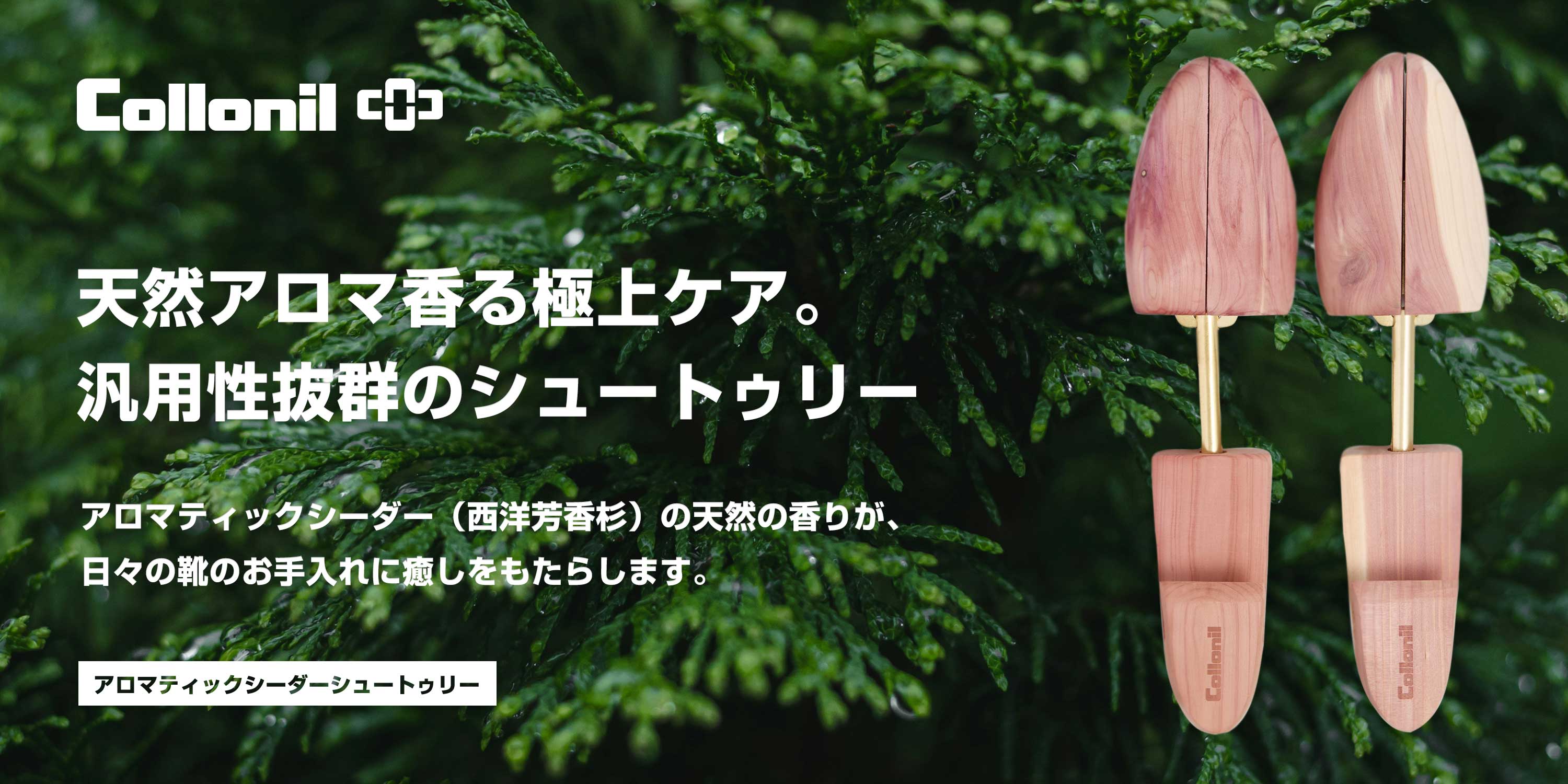 アロマティックシーダーシュートゥリー