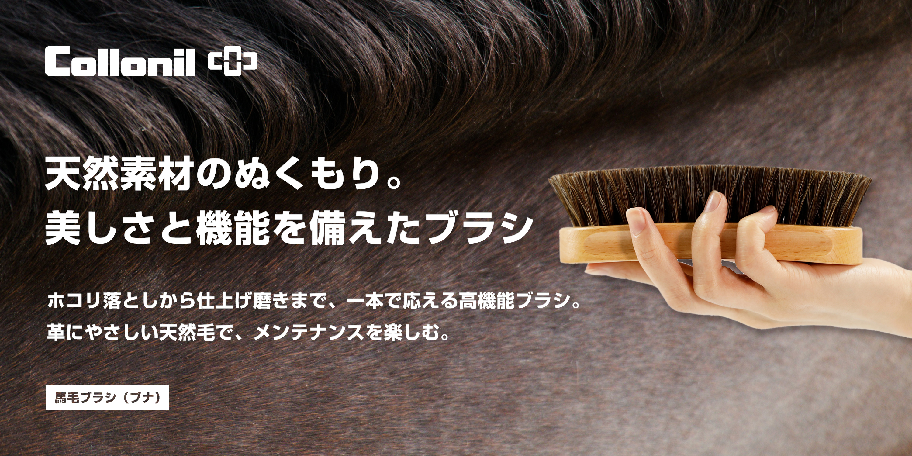 馬毛ブラシ(ブナ)