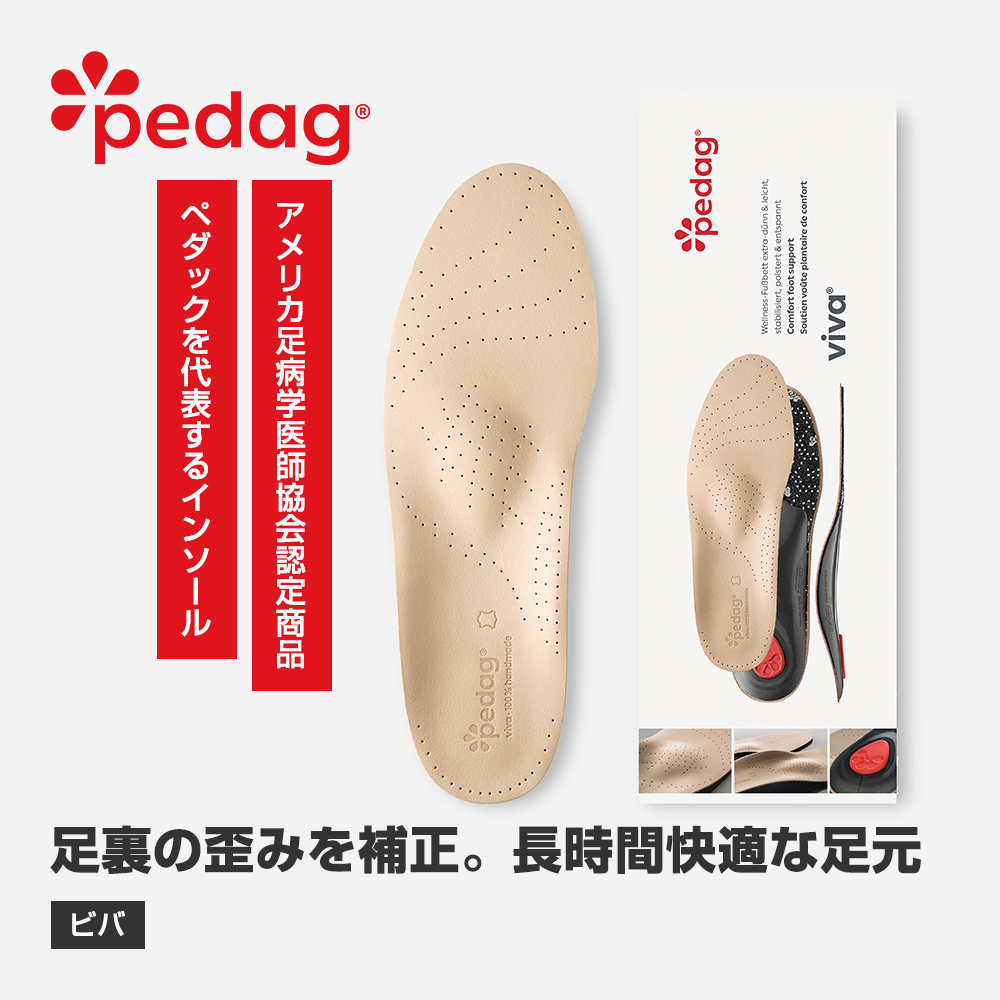 pedag ビバ