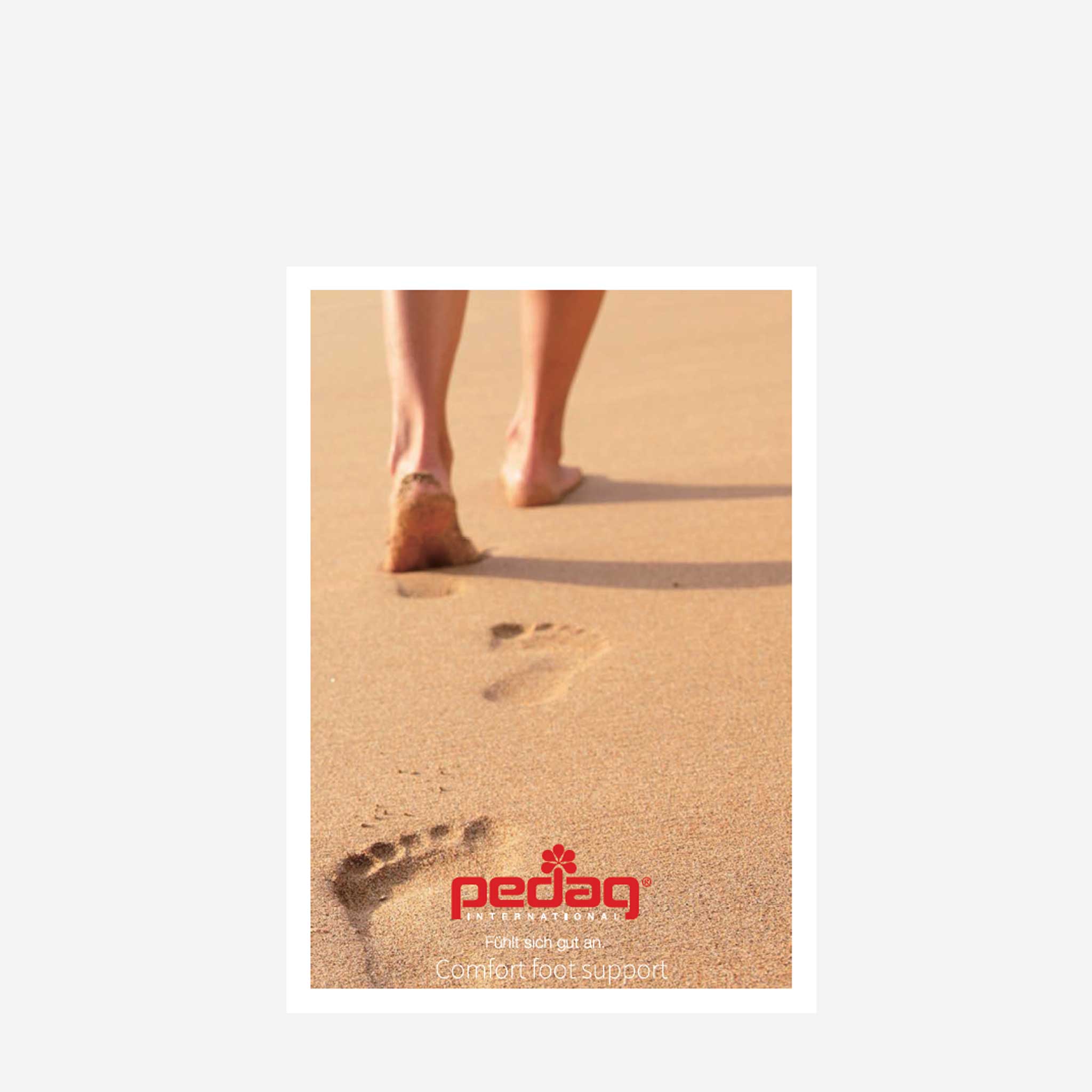 【リーフレット】pedag