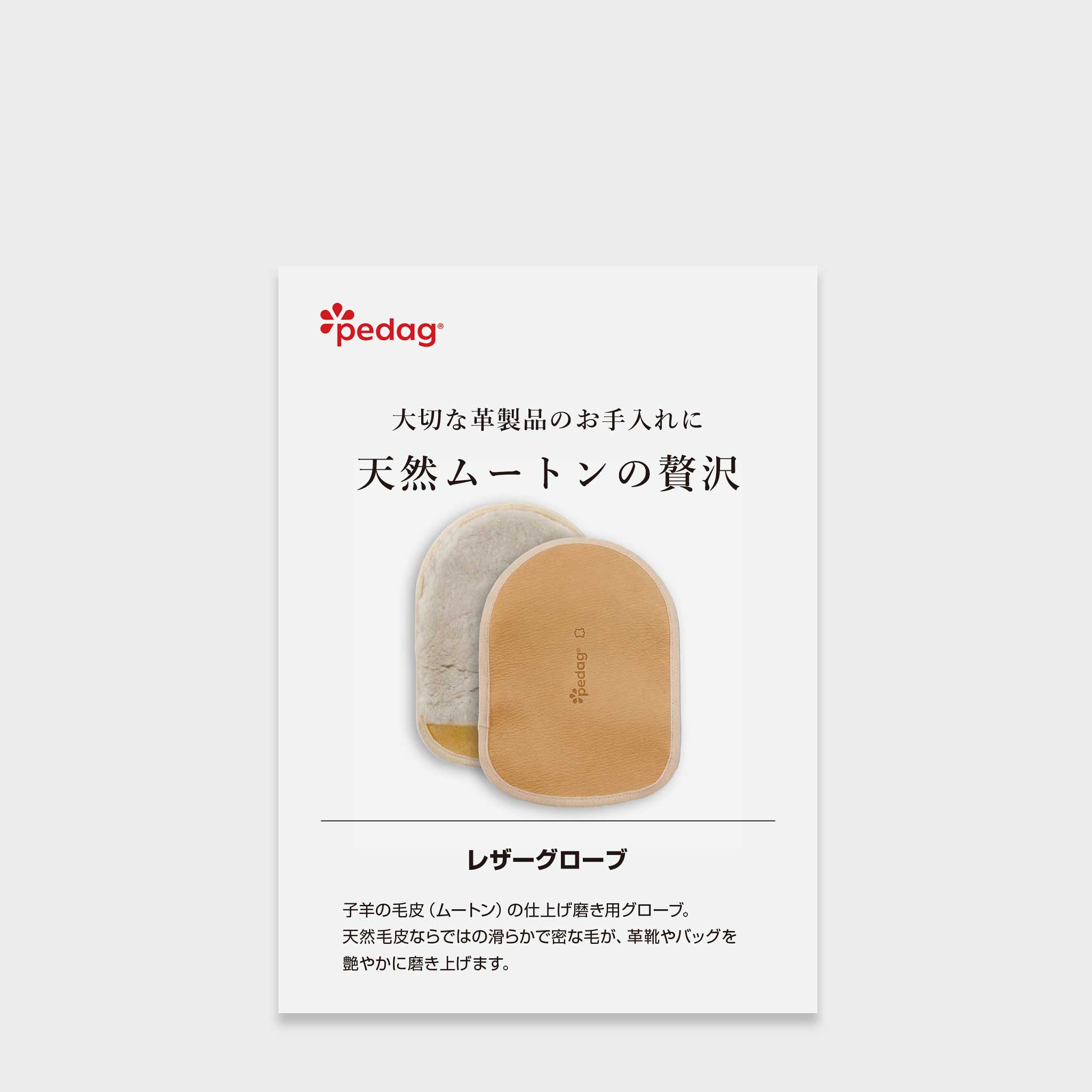 A6サイズPOP