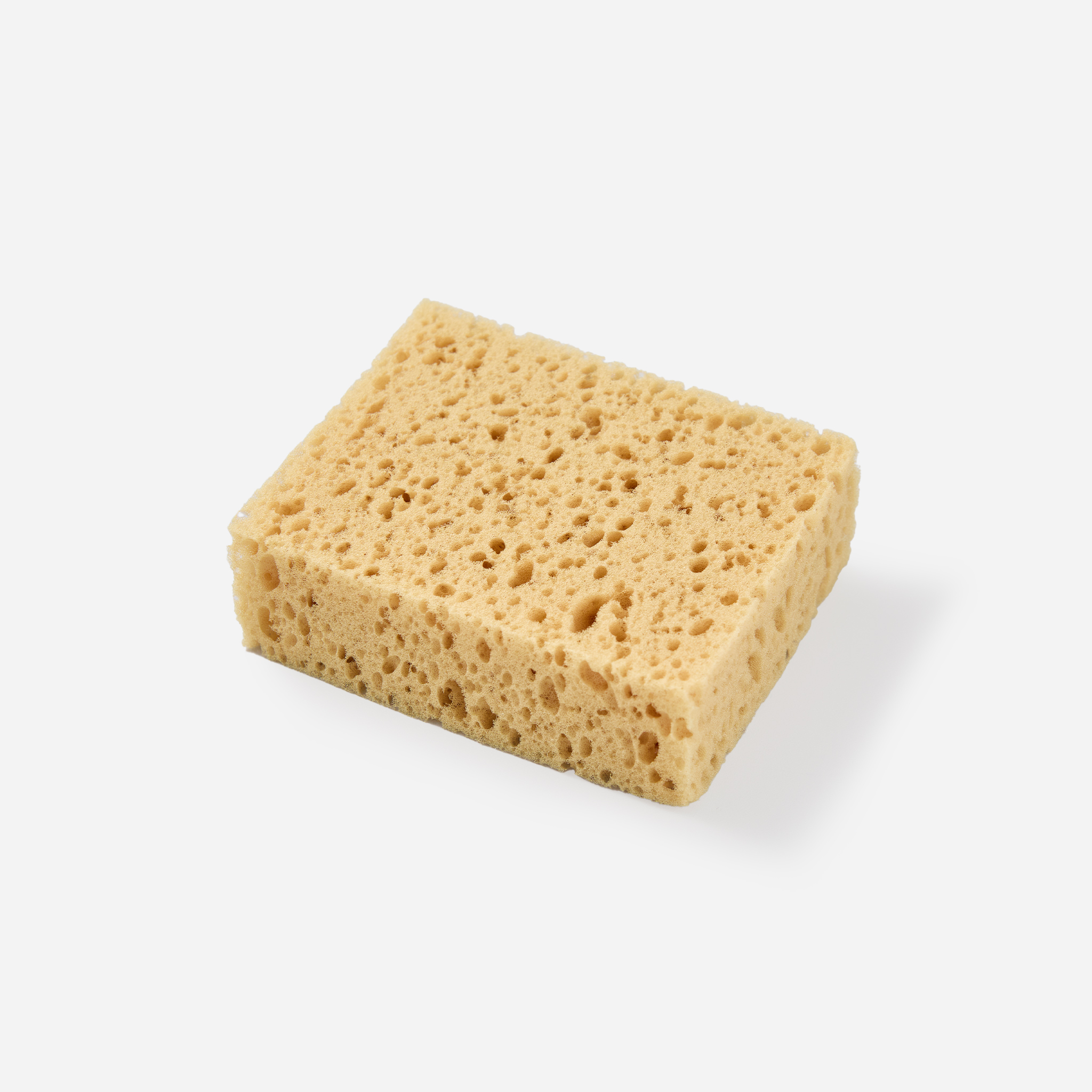 Collonil スポンジ