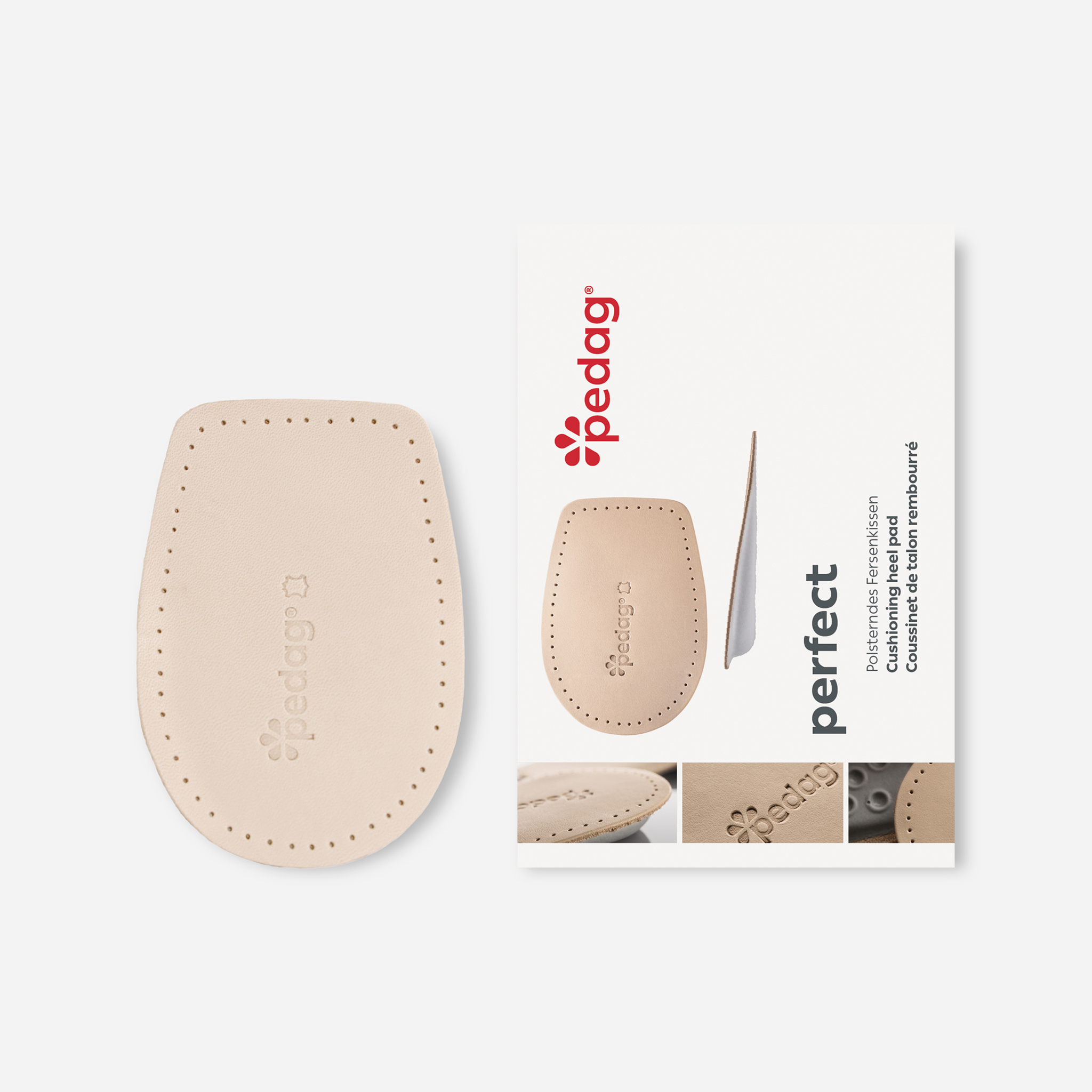 pedag パーフェクト