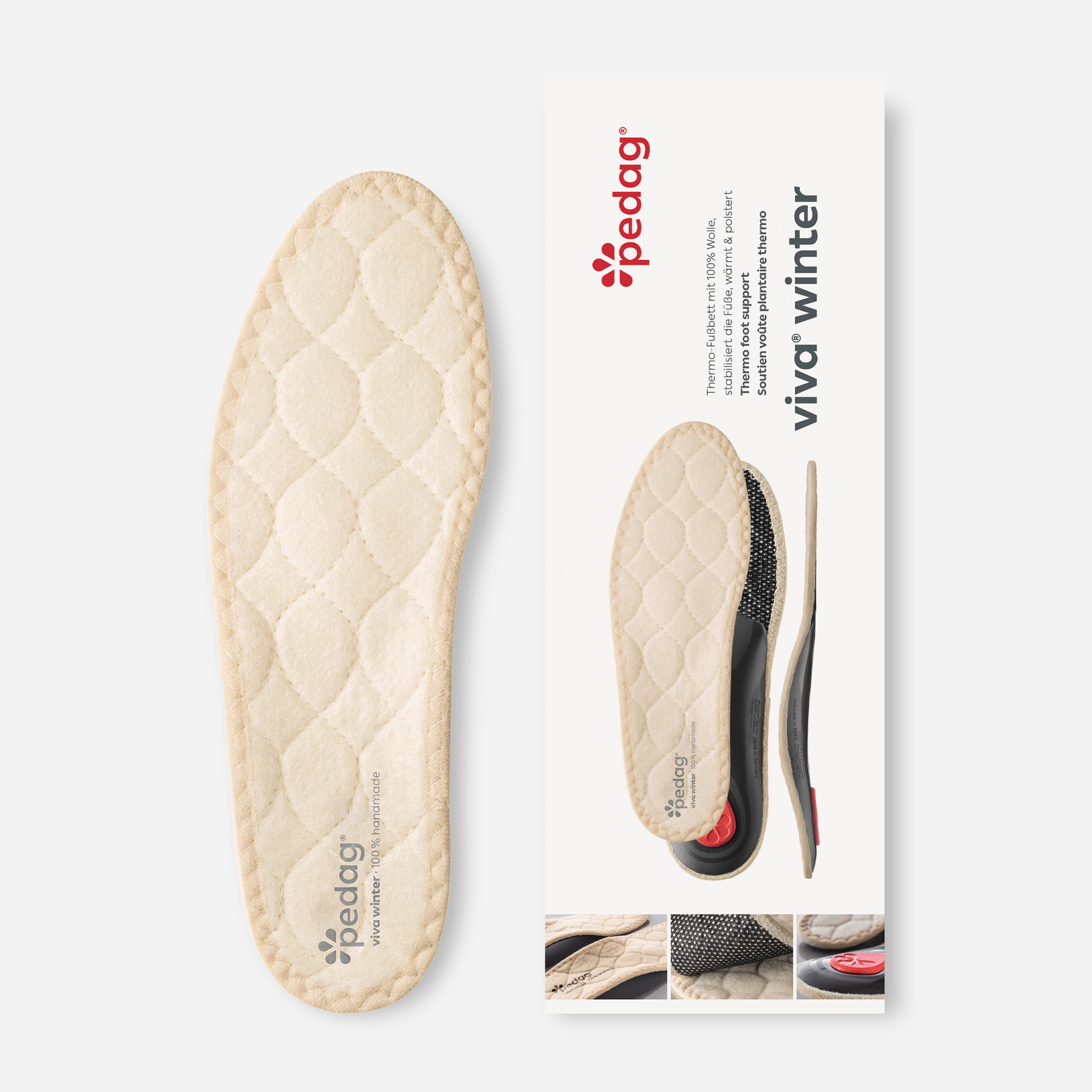 pedag ビバウィンター