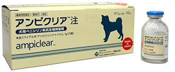 アンピクリア注　　1g×10