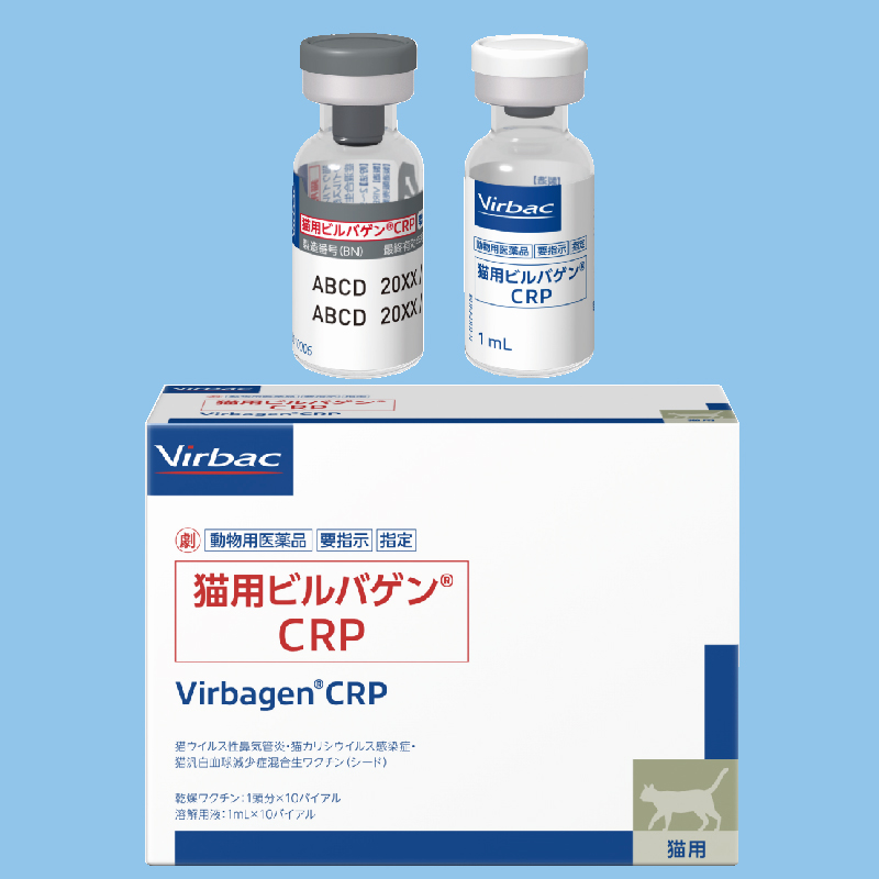 ビルバゲン