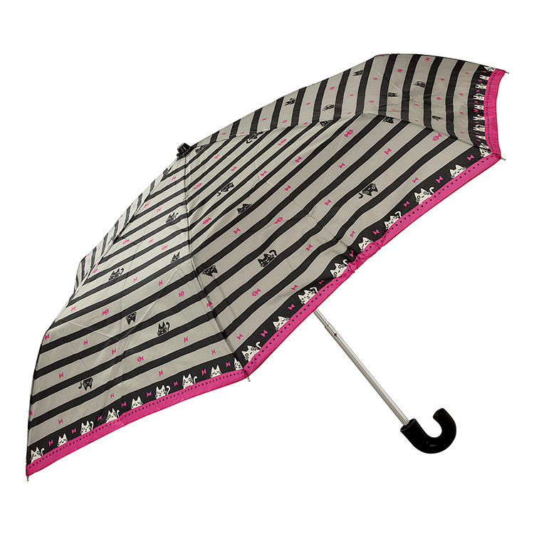 【折傘ジュニア】猫ボーダー