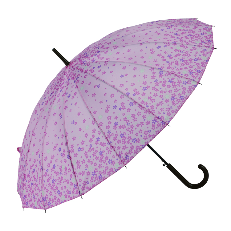 【16本骨】和桜