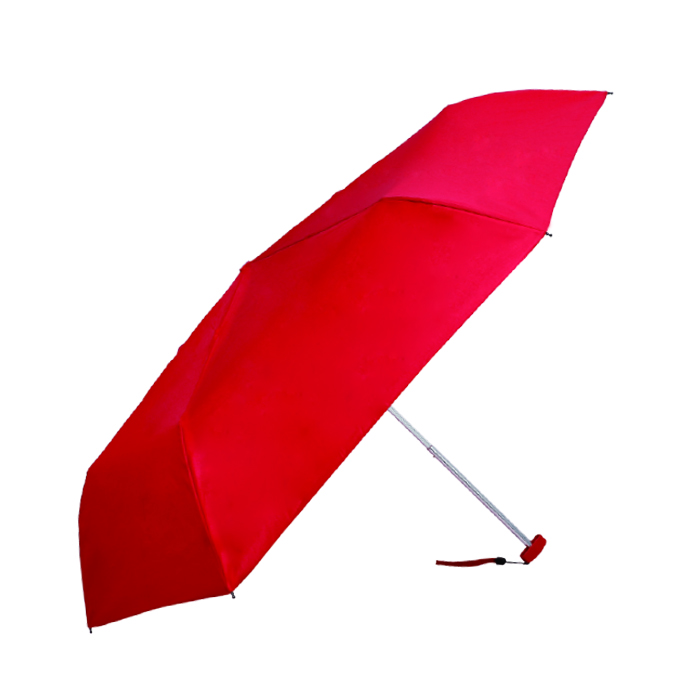 【折傘】浮き出る桜